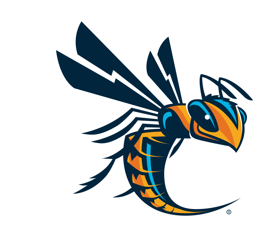 Cedarville Softball Camps